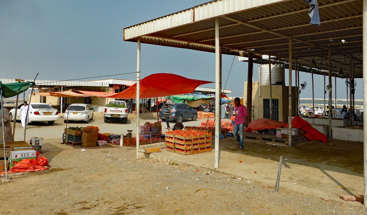 حصن بركاء — Barka, Oman (3) (41446312671).jpg