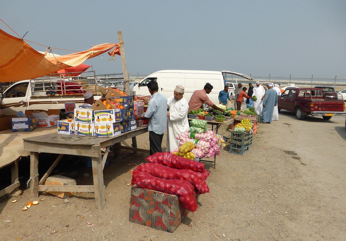 بركاء مارينا — Barka, Oman (10) (27574466818).jpg