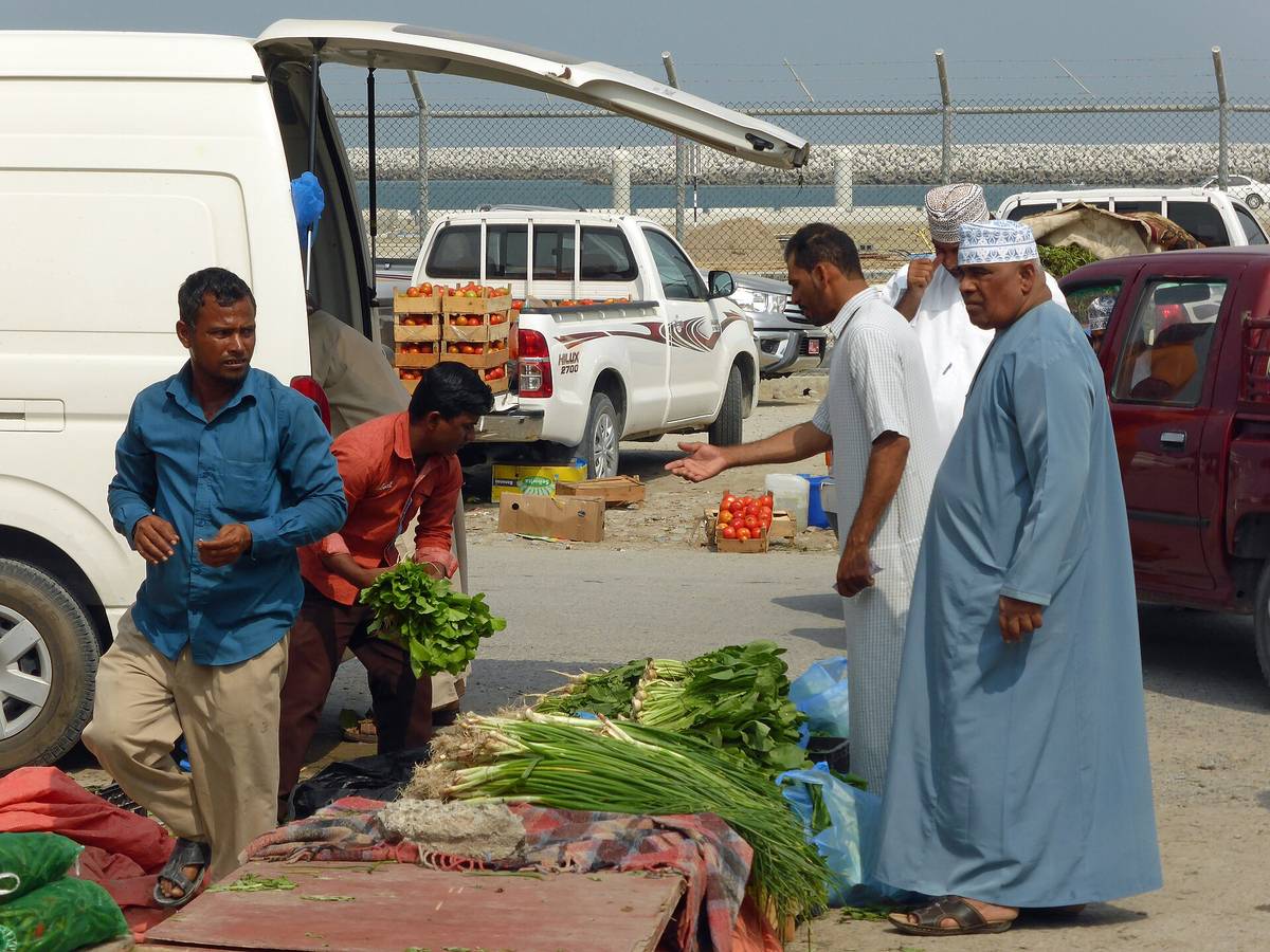 بركاء مارينا — Barka, Oman (1) (39637430180).jpg