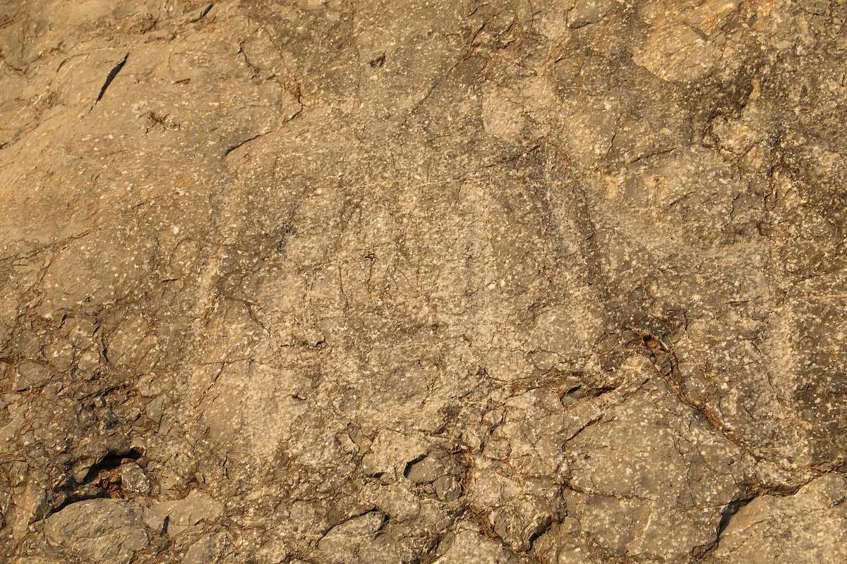 Coleman's Rock — Hasat Bin Salt (roccia di coleman), monolite con rilievi databili tra III e I millennio a.c., e graffiti 08.jpg