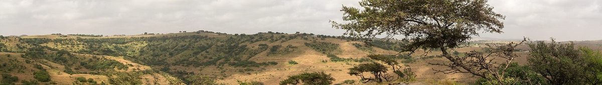 جبال ظفار — Dhofar Oman Banner.jpg