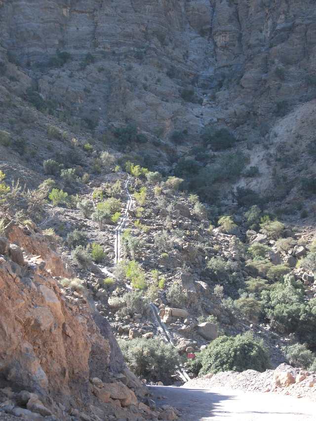 فلج