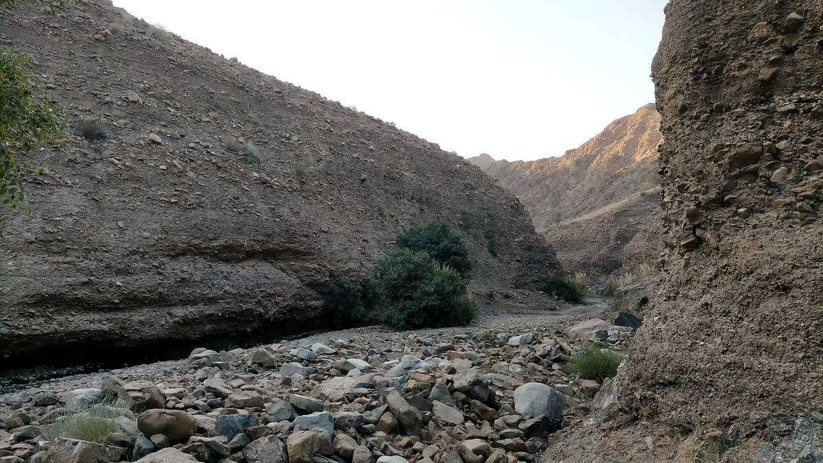 جبل حلف — Wadi Half - Tributary of Wadi Madha - 1.jpg
