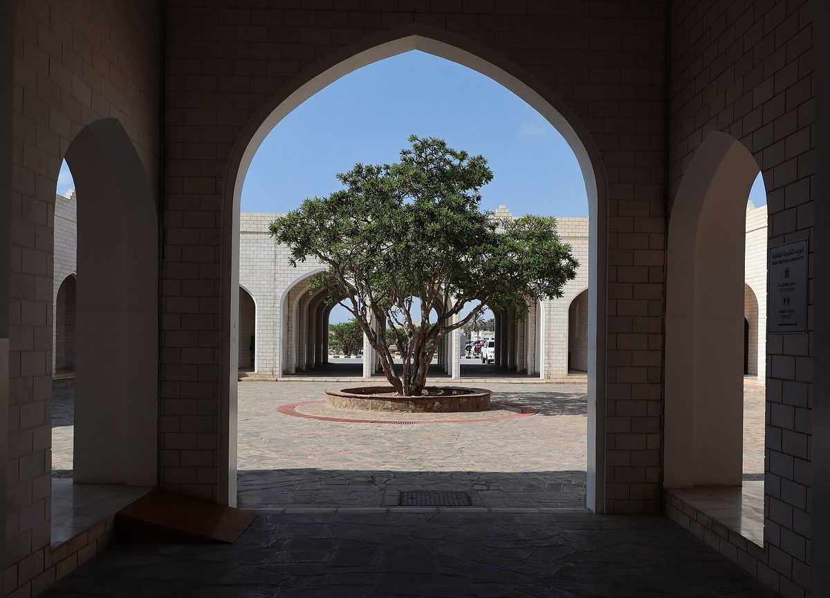 متحف ارض اللبان — Salalah, museo della terra degli incensi, cortile 02 albero di incenso al centro.jpg