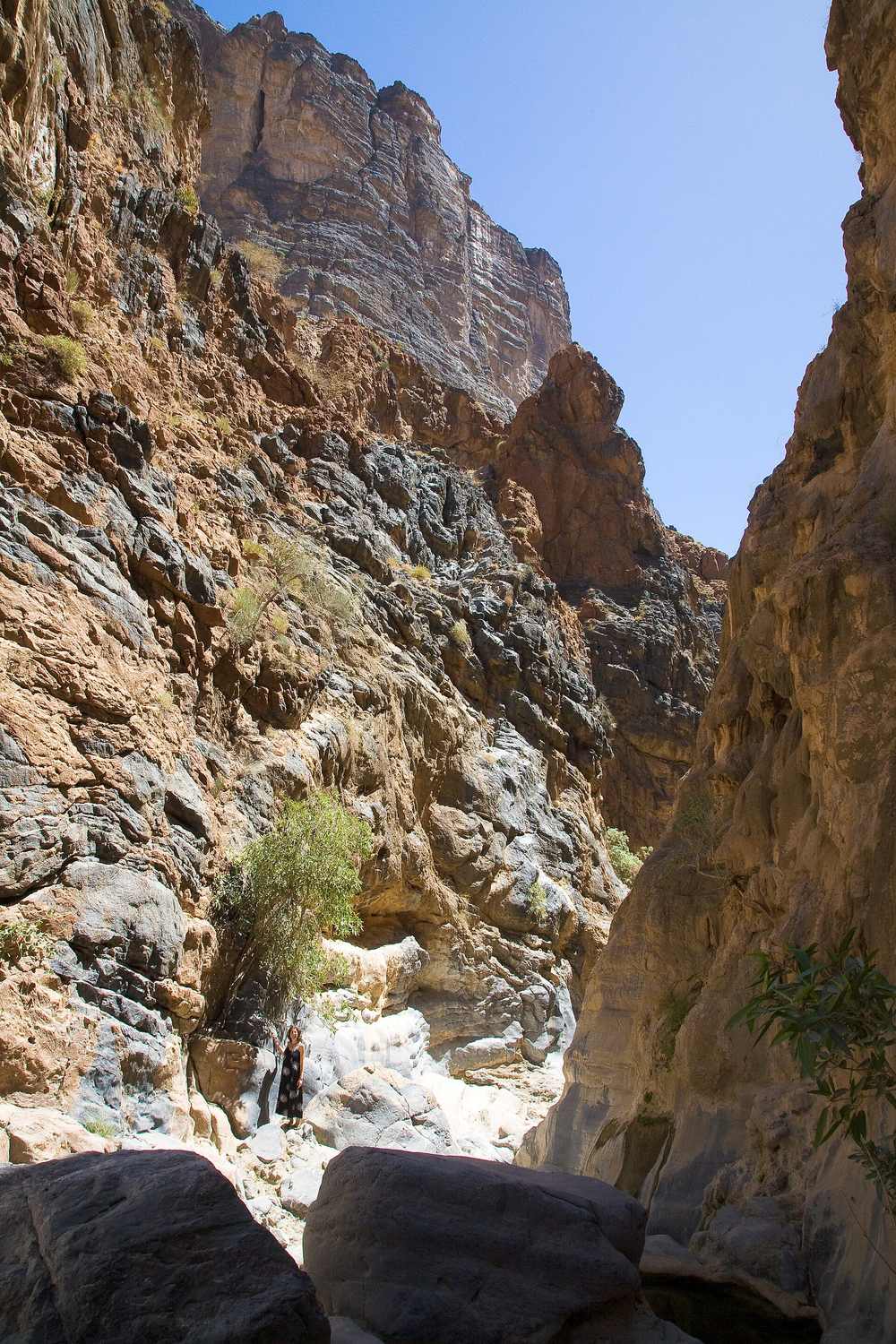 وادي بيمة — Snake Gorge (1).jpg