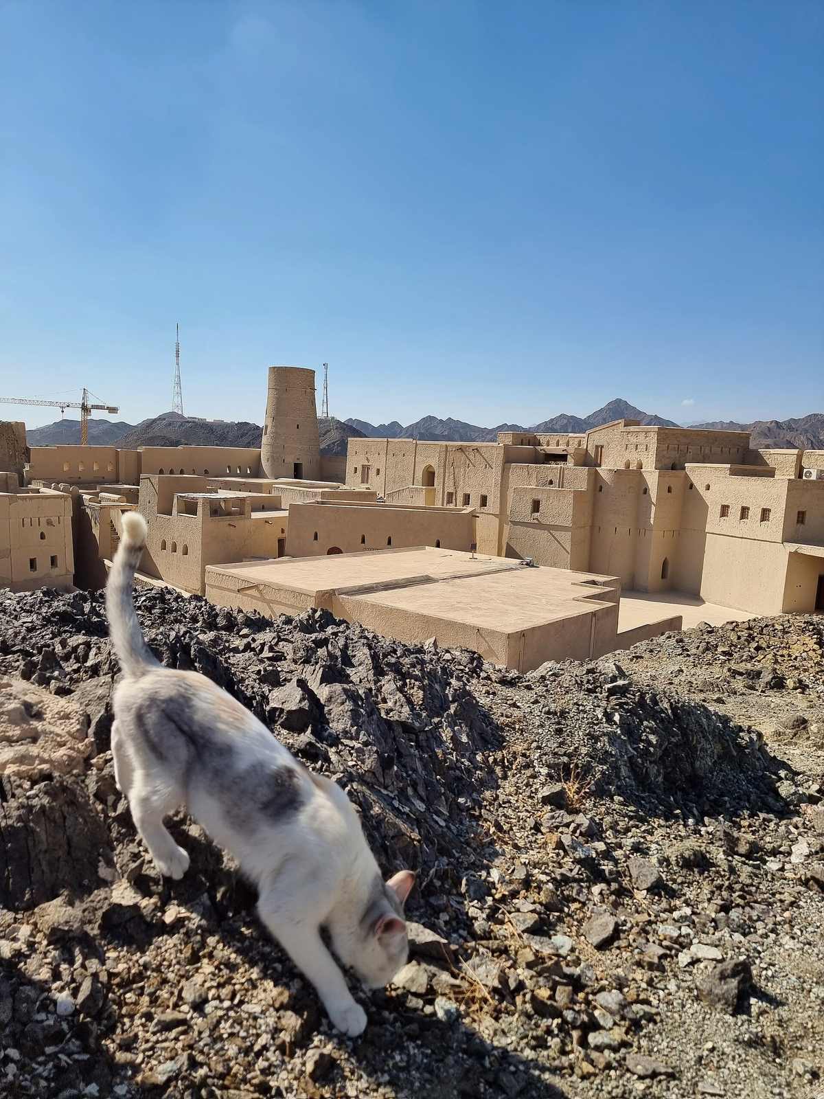 View on Bahla and fort — Bahla Fort, Oman, 12th-15th centuries (45).jpg