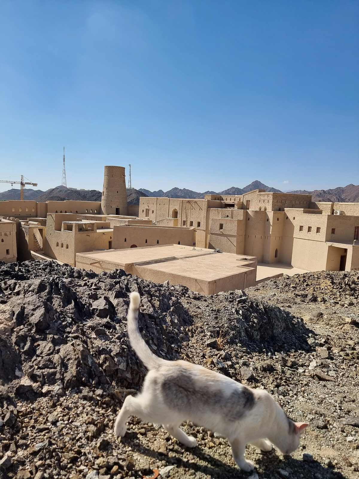 View on Bahla and fort — Bahla Fort, Oman, 12th-15th centuries (46).jpg