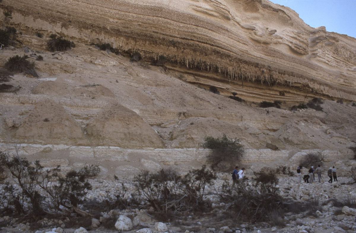 وادي الشويمية — Dunst Oman scan0304.jpg