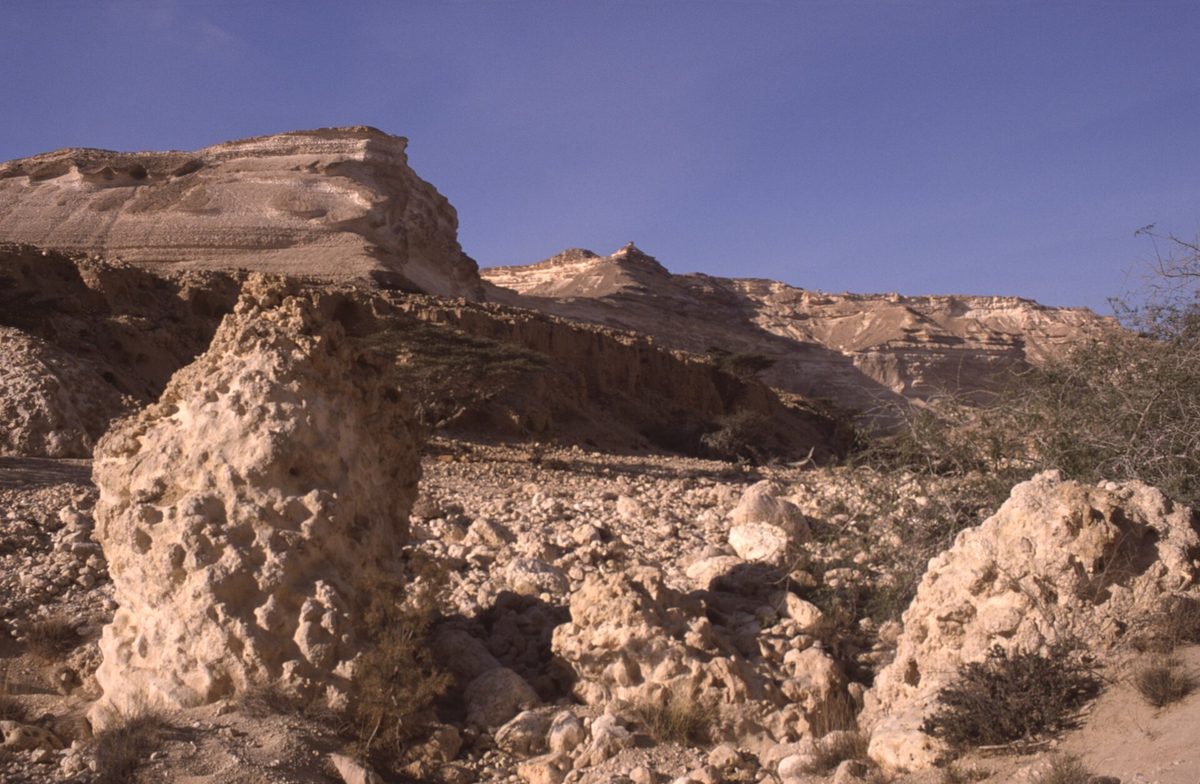 وادي الشويمية — Dunst Oman scan0303.jpg