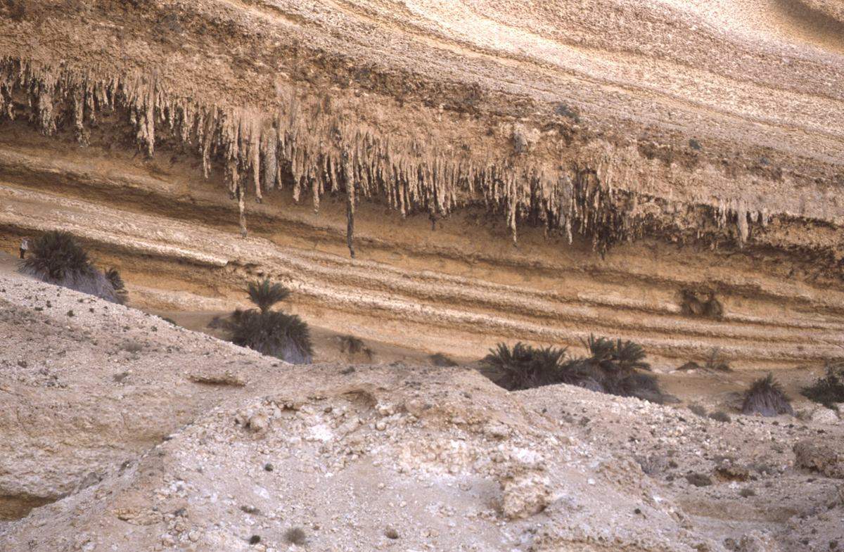 وادي الشويمية — Dunst Oman scan0307.jpg