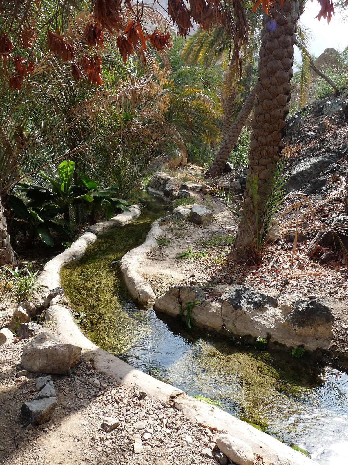 Wadi Tiwi — Oman-Wadi Tiwi (3).JPG