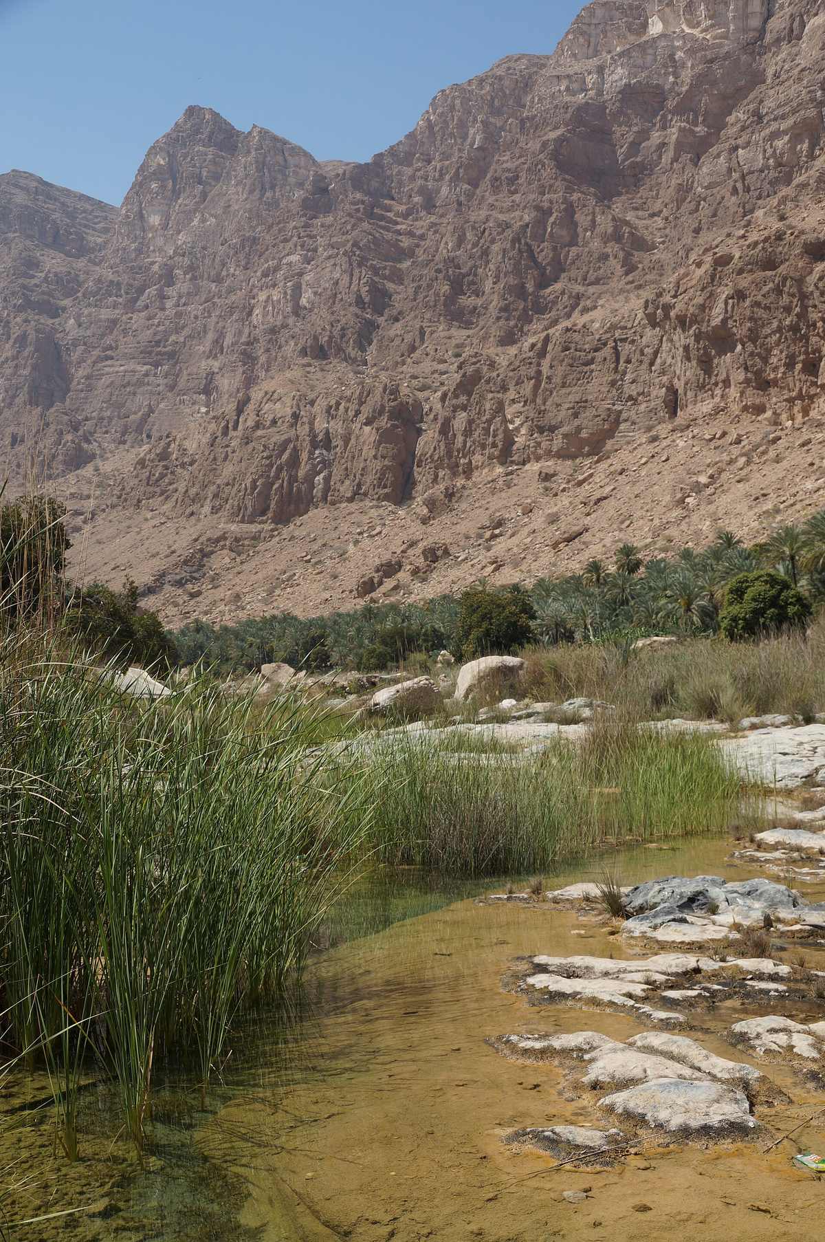 Wadi Tiwi — Wadi Tiwi 009.jpg